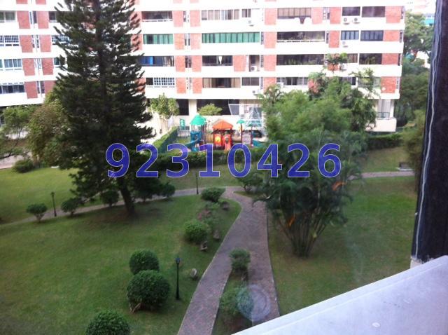 Pandan Valley (D21), Condominium #73366742